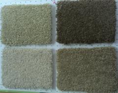 Carpetes